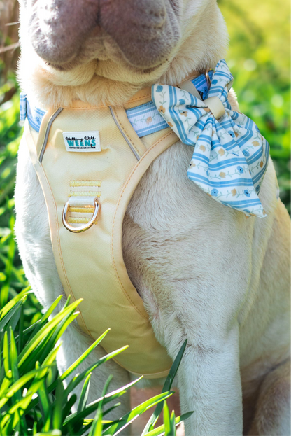 Buttercup Breeze - Sailor Bow
