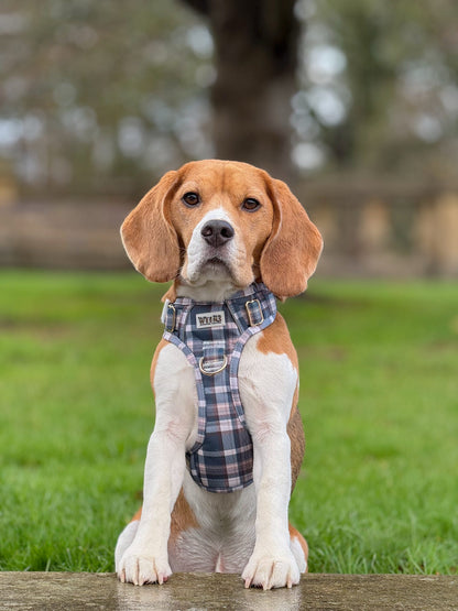 Frosted Flannel - Adventure Addition