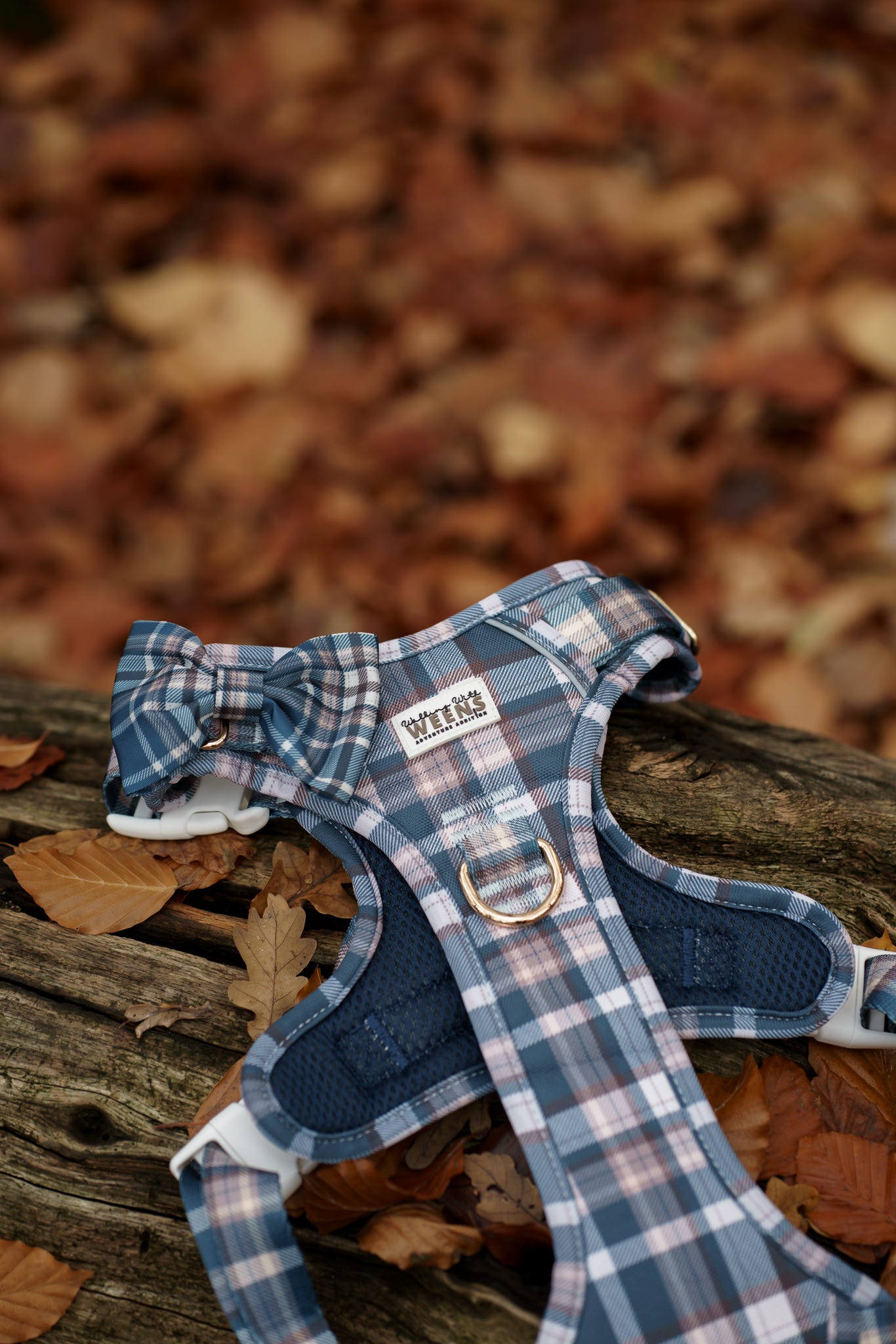 Frosted Flannel - Adventure Addition