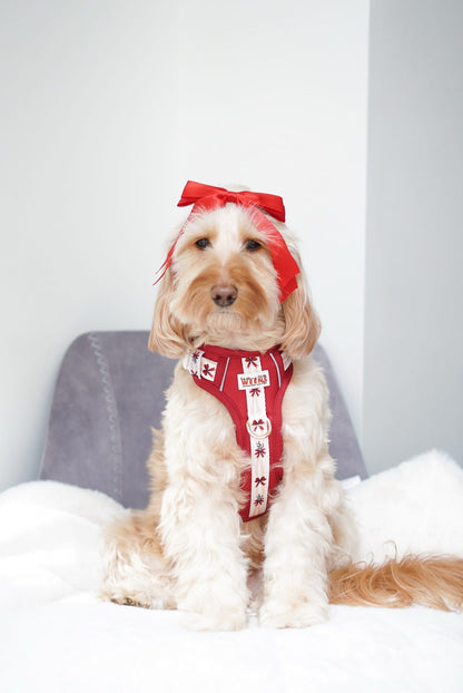 Classic Crimson - Adventure Addition