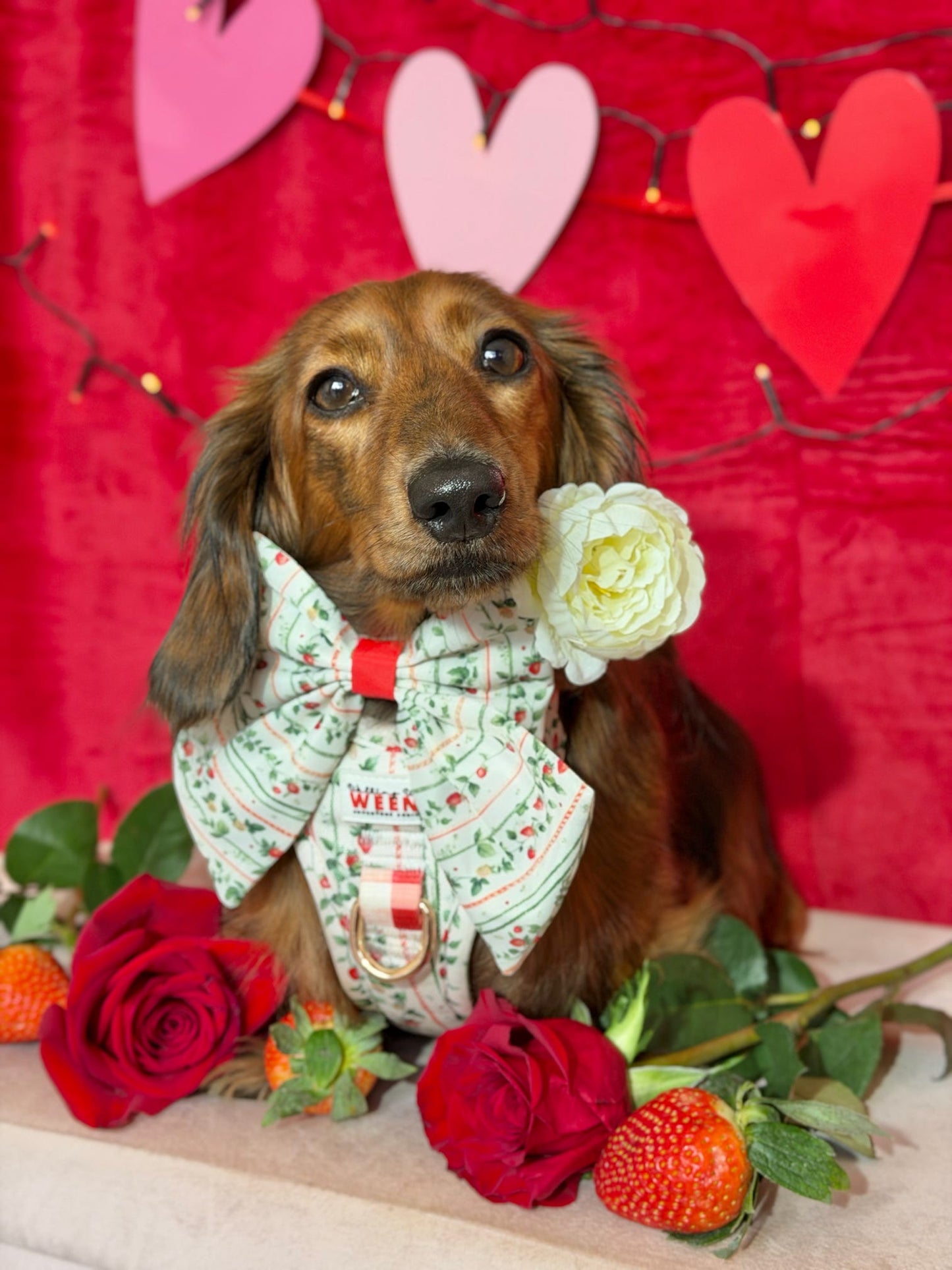 Berries and Bloom - Sailor Bow