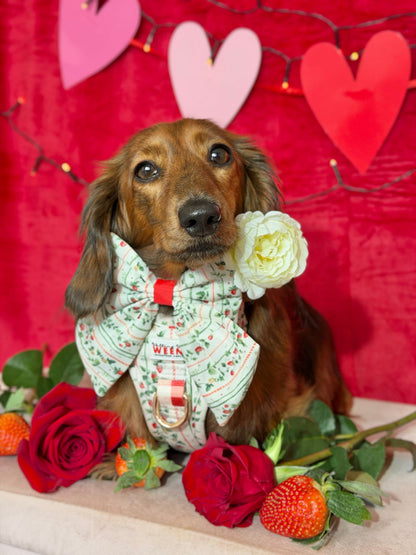 Berries and Bloom - Sailor Bow