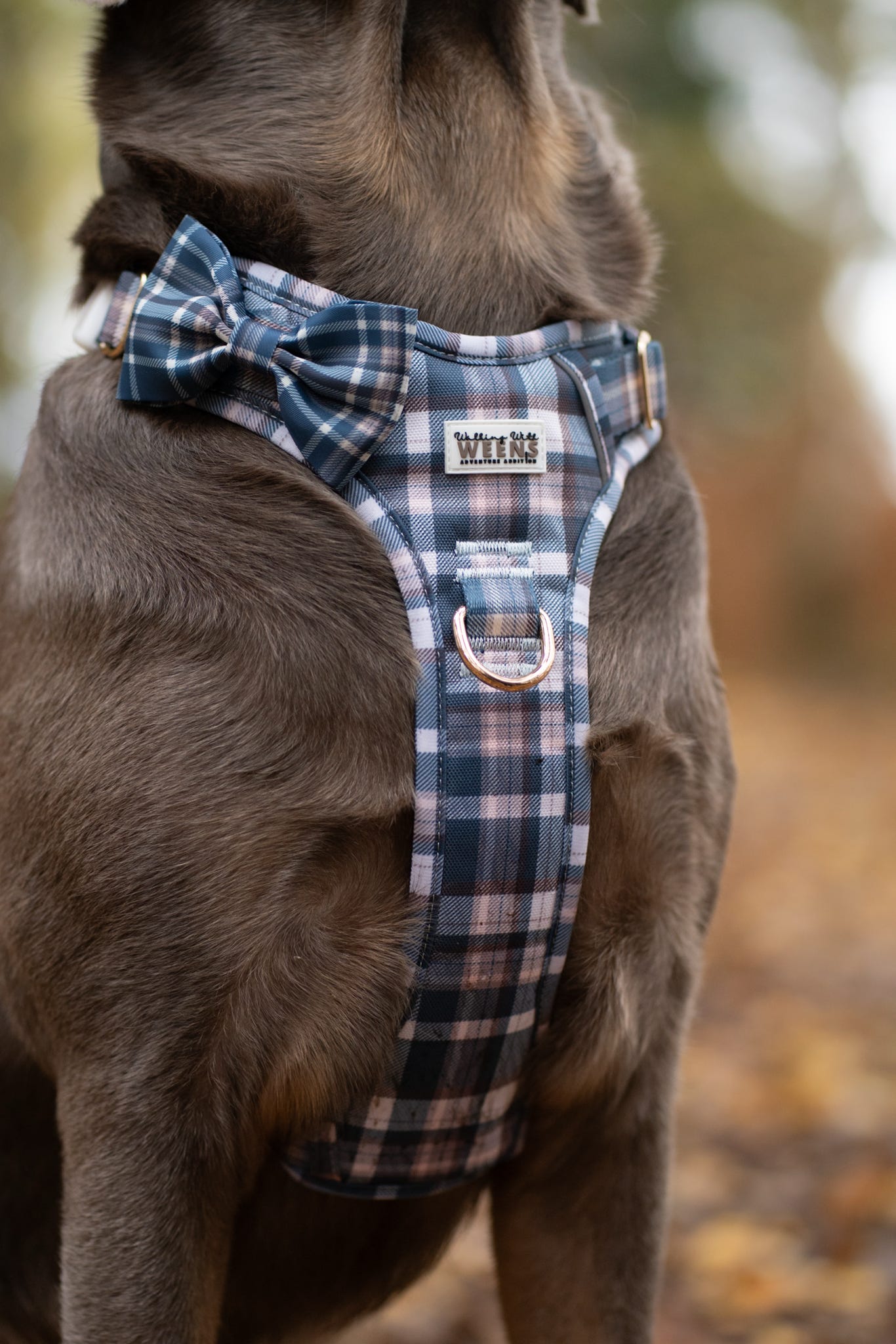 Frosted Flannel - Bow Tie