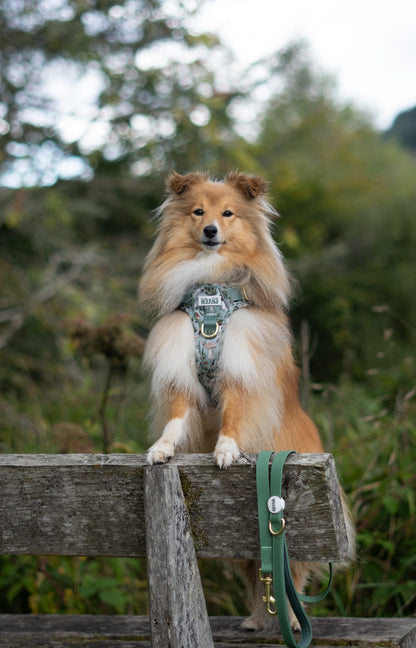 Fern Green - Waterproof Lead