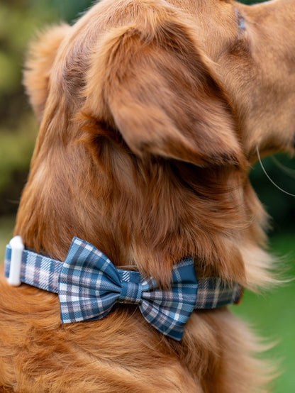 Frosted Flannel - Bow Tie