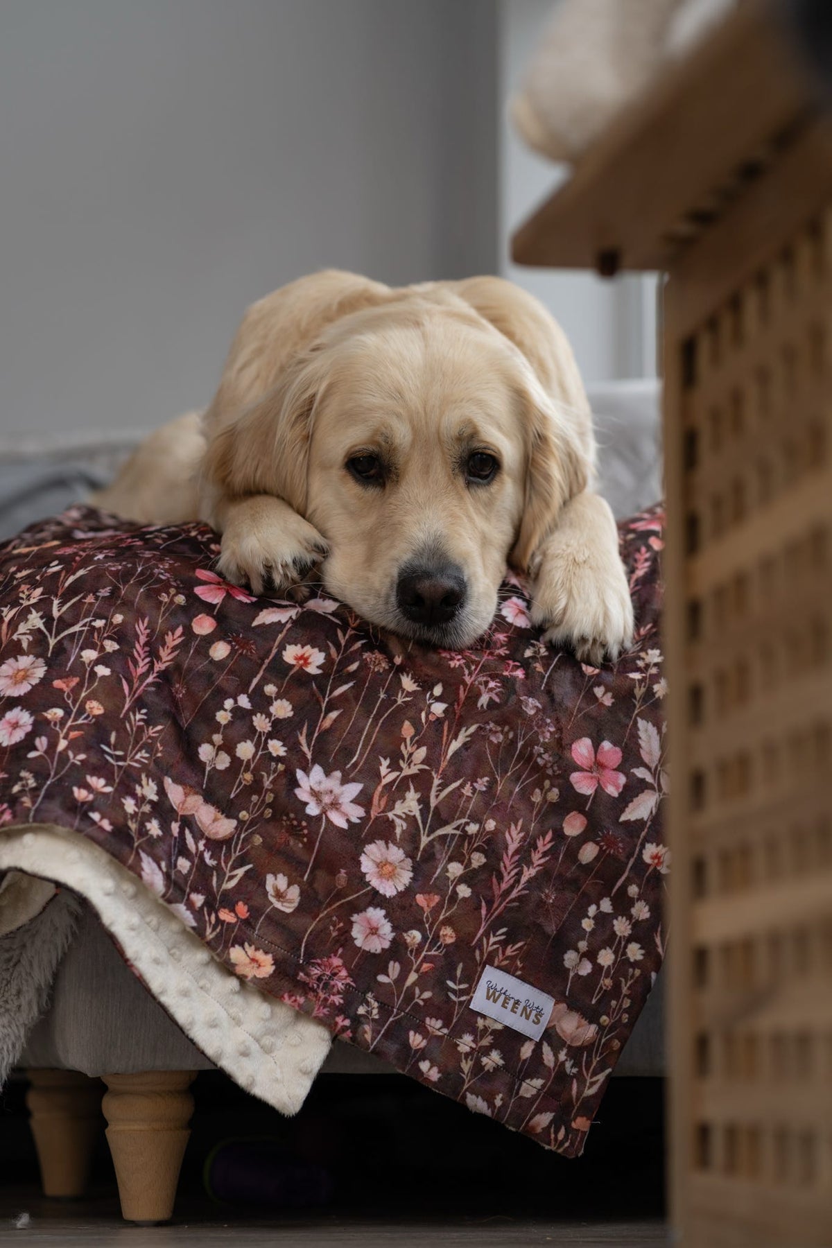 Walnut Woodlands - Snuggle Sized Blanket