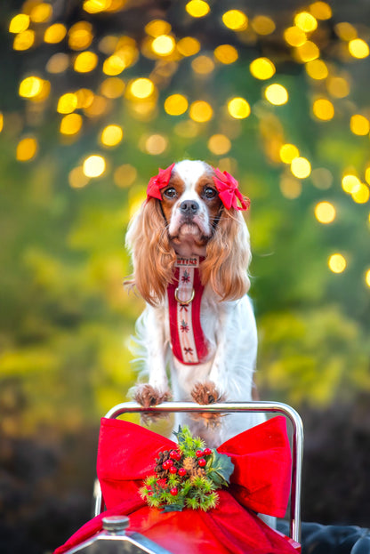 Classic Crimson - Adventure Addition