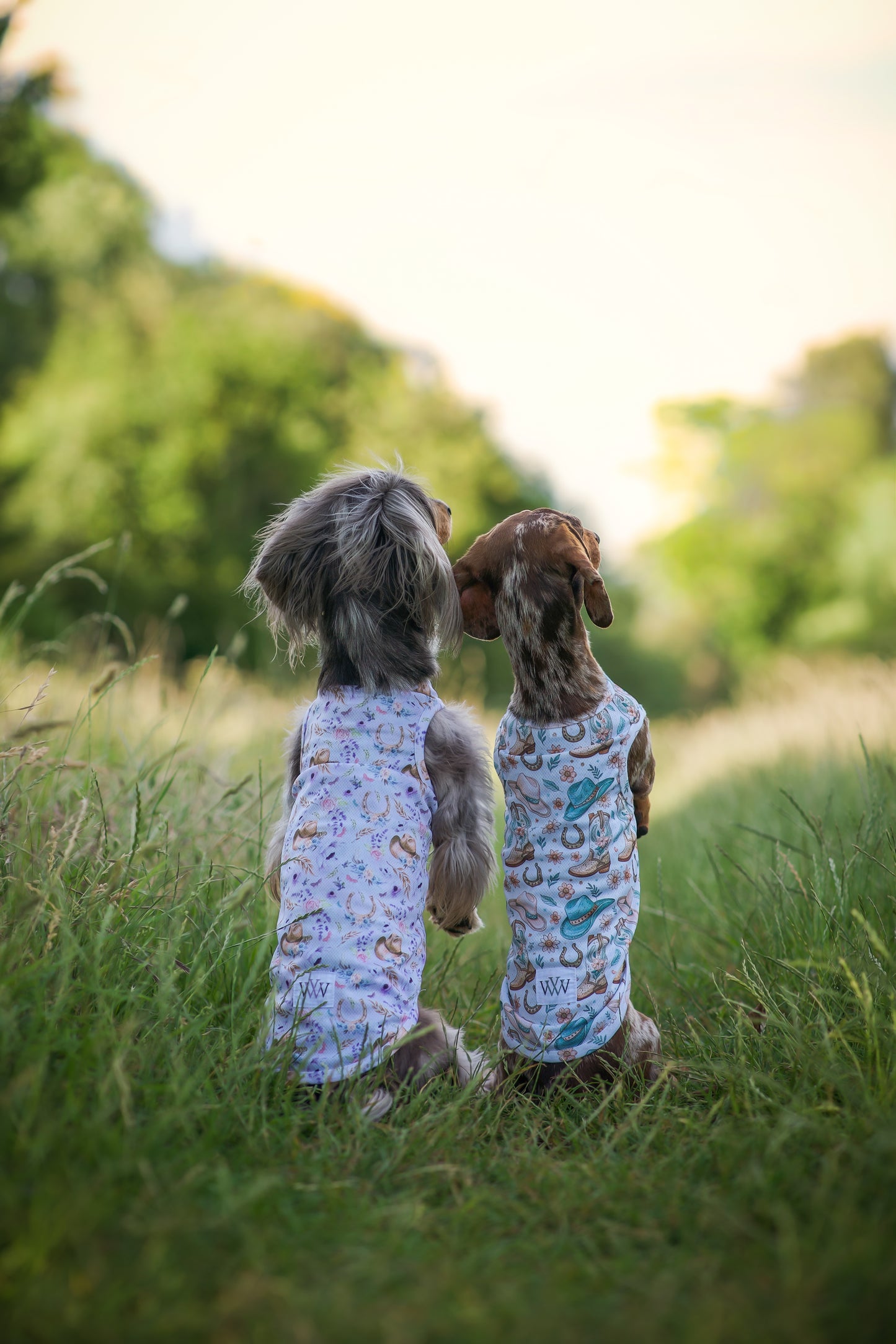 Cowboy Creek - Cooling Vest
