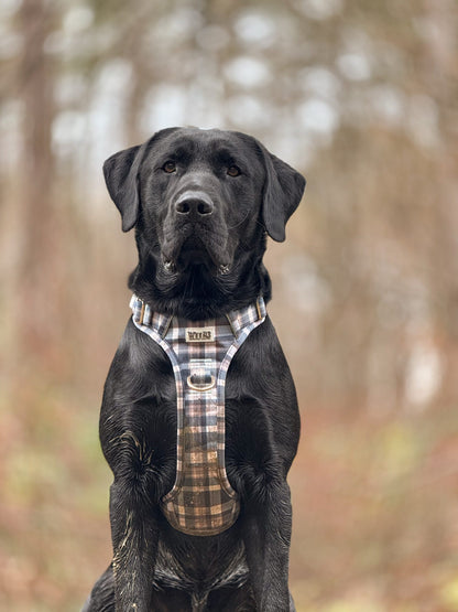 Frosted Flannel - Adventure Addition