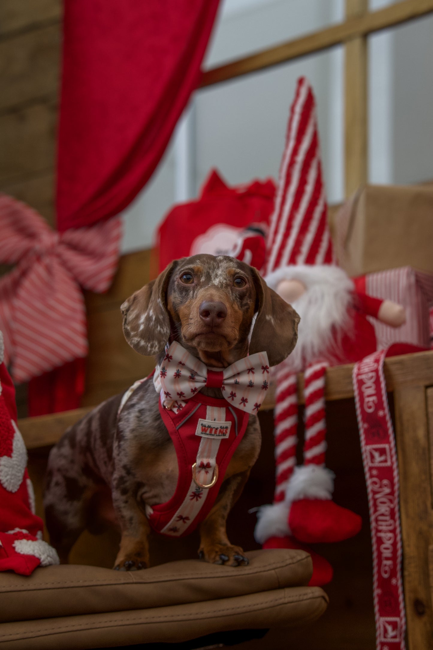 Classic Crimson - Bow Tie