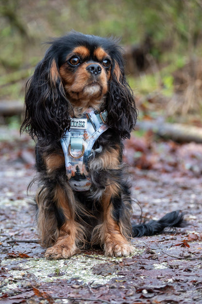 Pinewood Peaks - Adventure Addition