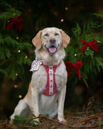 Classic Crimson - Adventure Addition