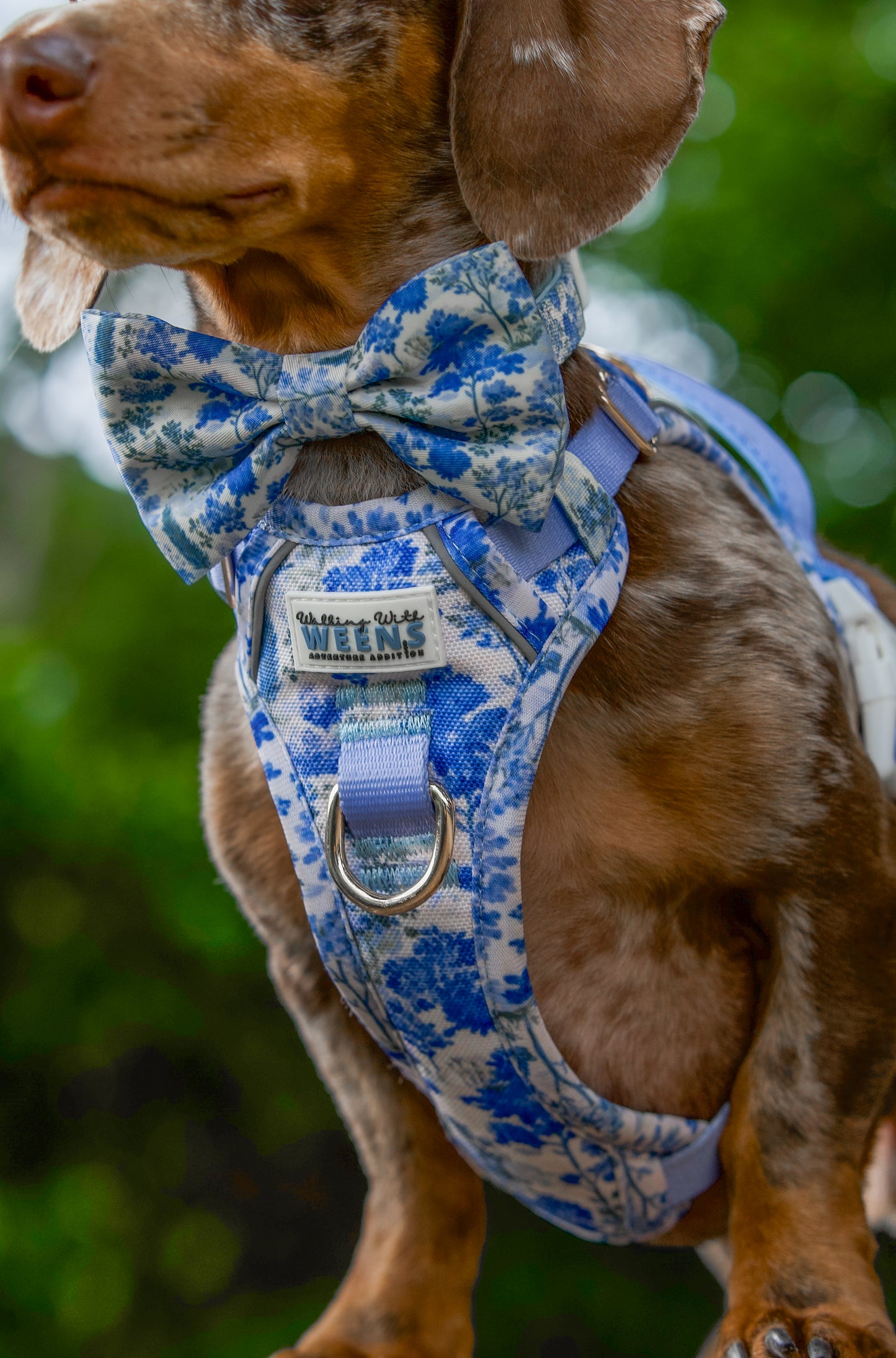 Whispering Willows - Bow Tie