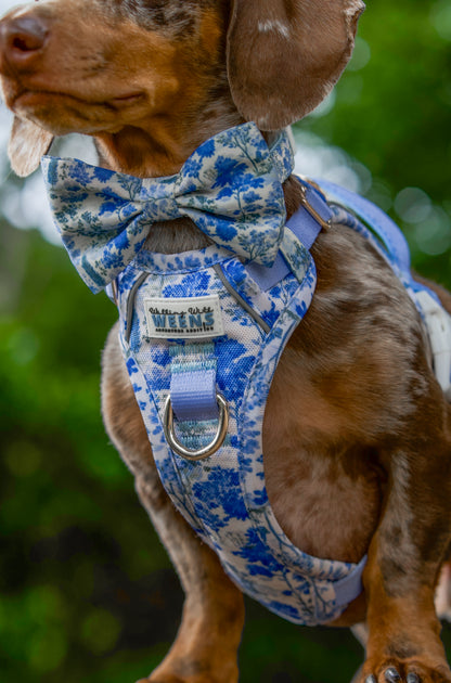 Whispering Willows - Bow Tie