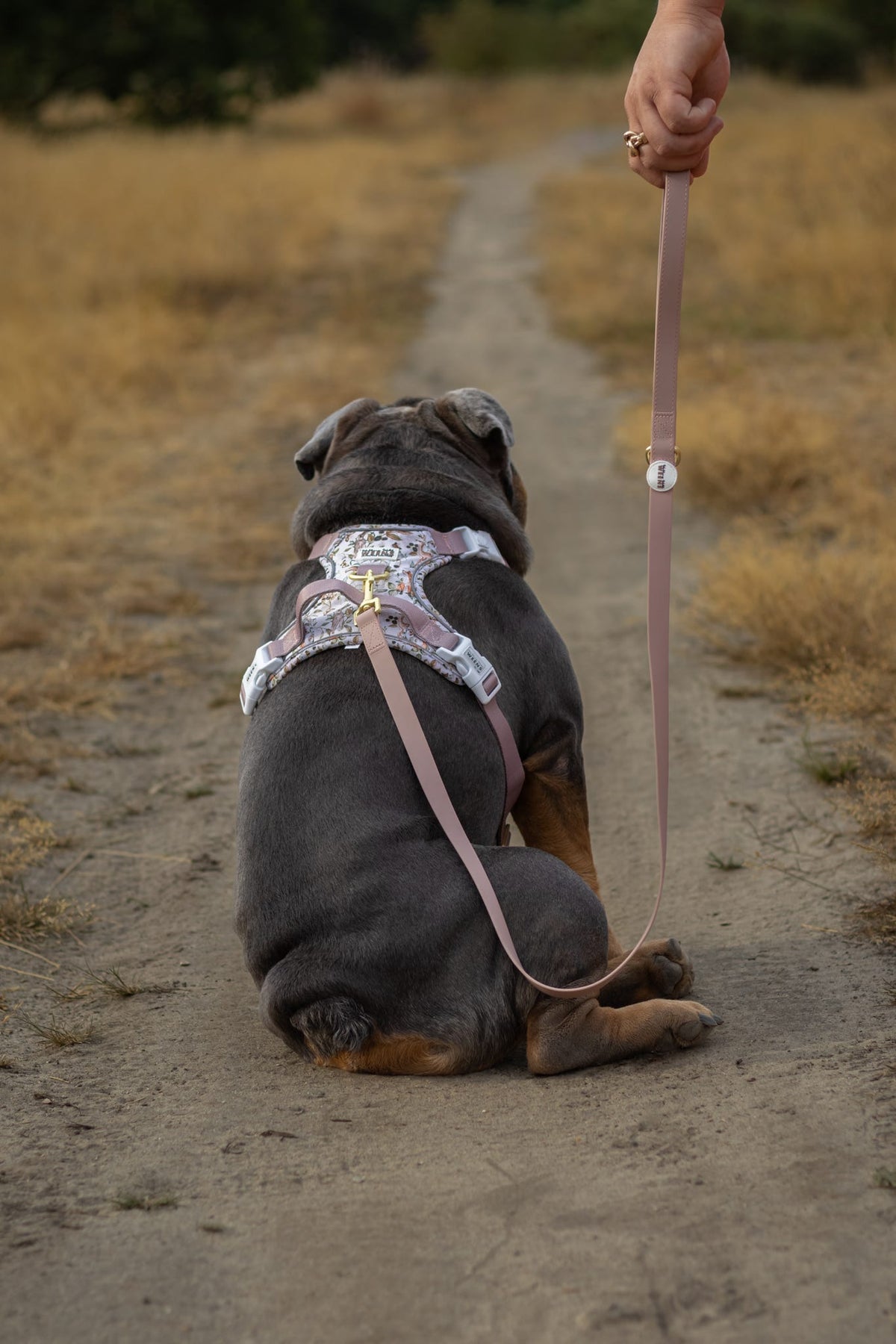 Truffle Taupe - Waterproof Lead