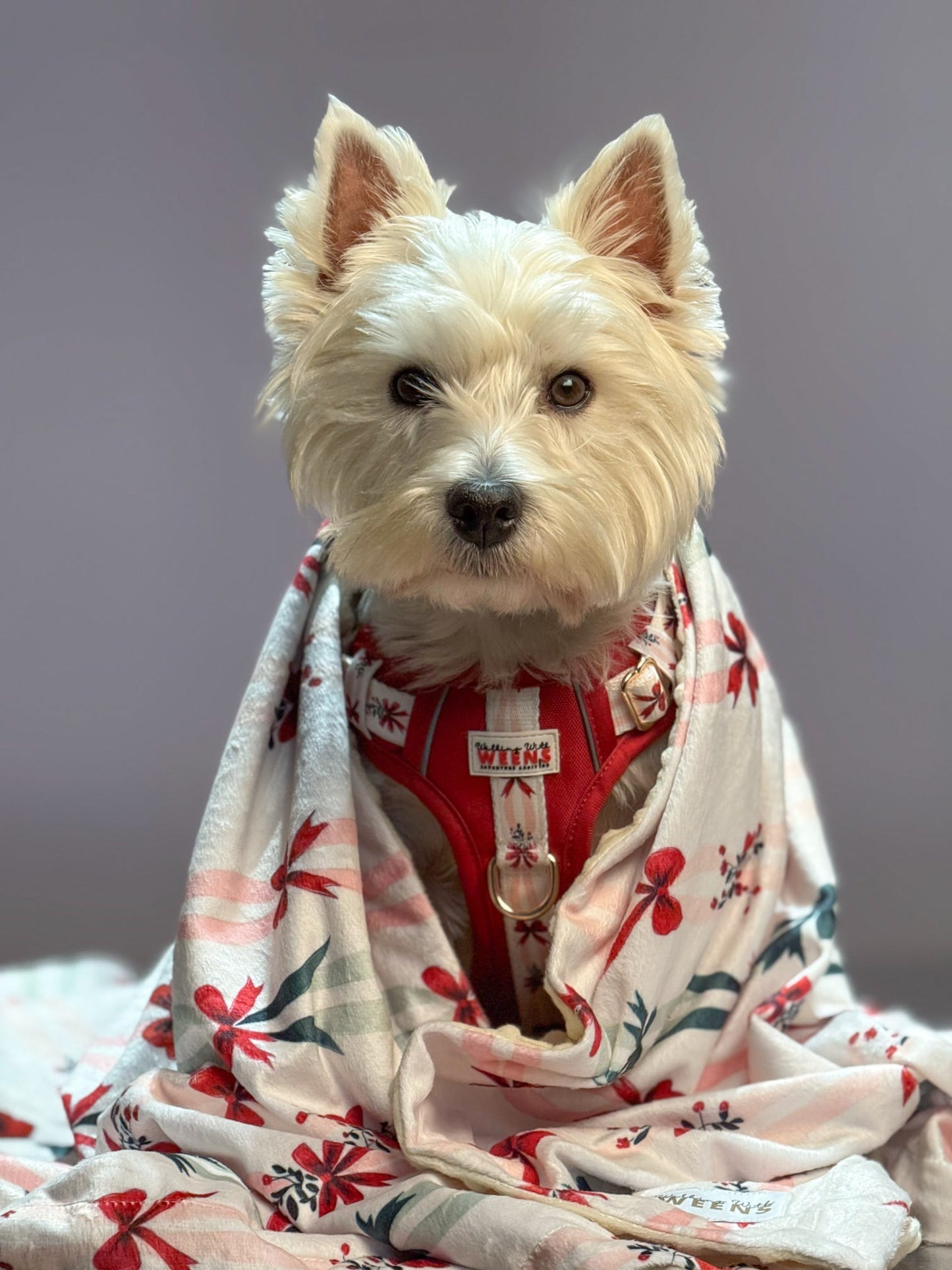 Classic Crimson - Snuggle Sized Blanket
