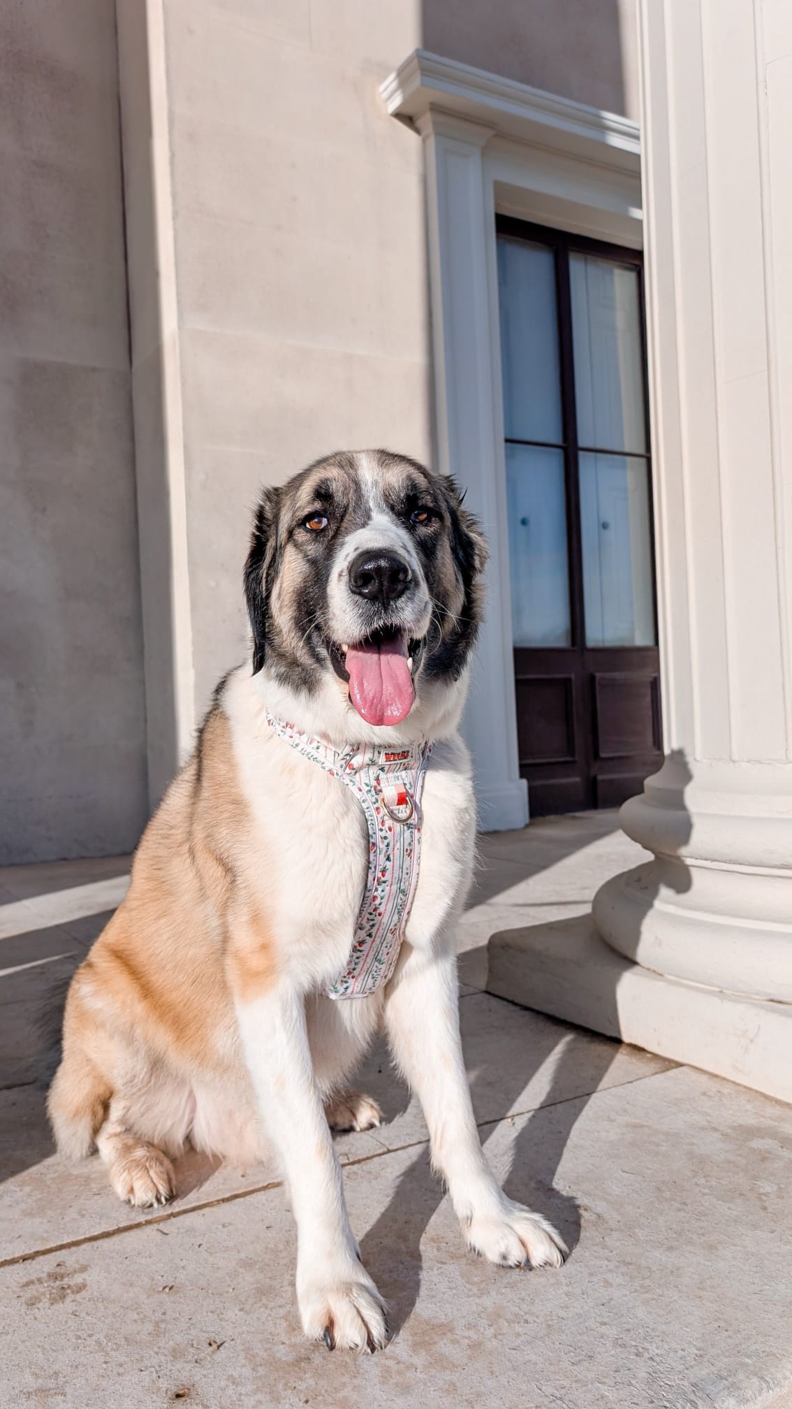 Berries and Bloom - Adventure Addition (See description)