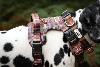 SECONDS - Paddington Plaid - Adventure Addition