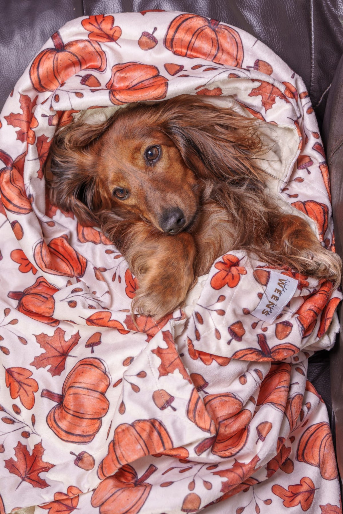 Autumn Nights - Snuggle Sized Blanket