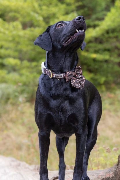Walnut Woodlands - Collar