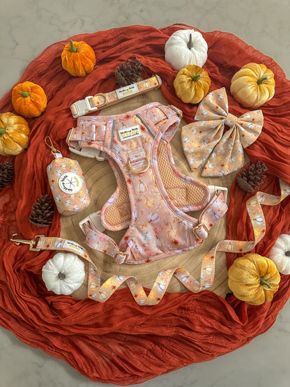 Harvest Hues - Adventure Addition
