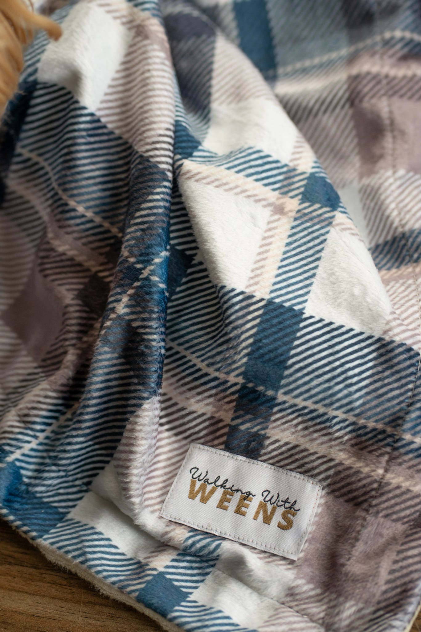 Frosted Flannel - Snuggle Sized Blanket