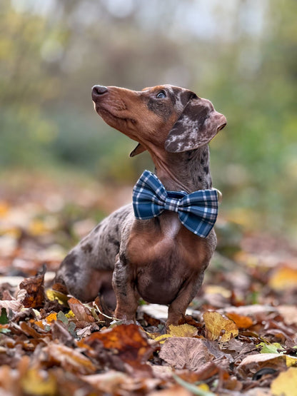 Frosted Flannel - Bow Tie