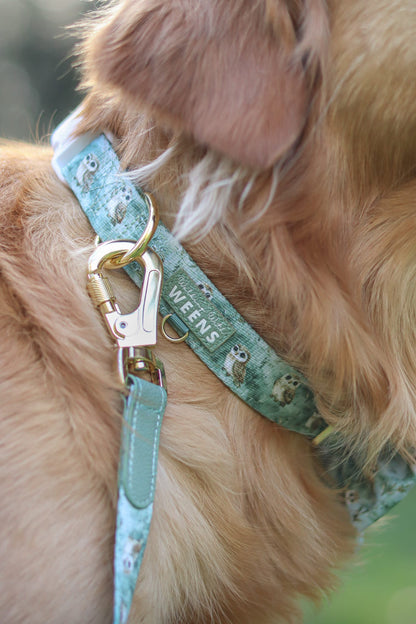 Evergreen Echoes - Collar