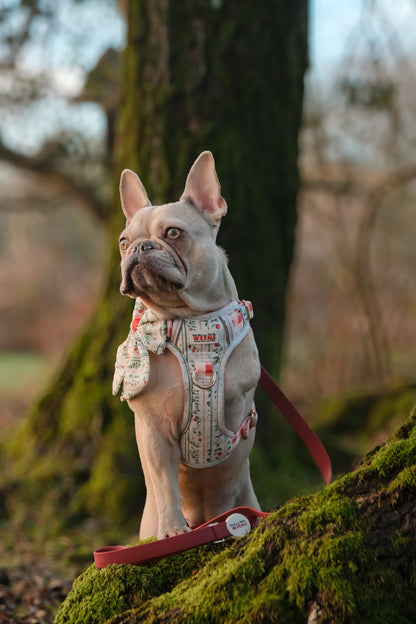 Berries and Bloom - Adventure Addition (See description)