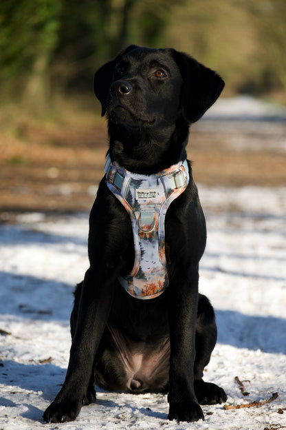 Pinewood Peaks - Adventure Addition