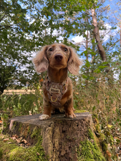 Bramble Burrows - Adventure Addition