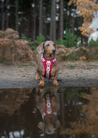 Classic Crimson - Adventure Addition