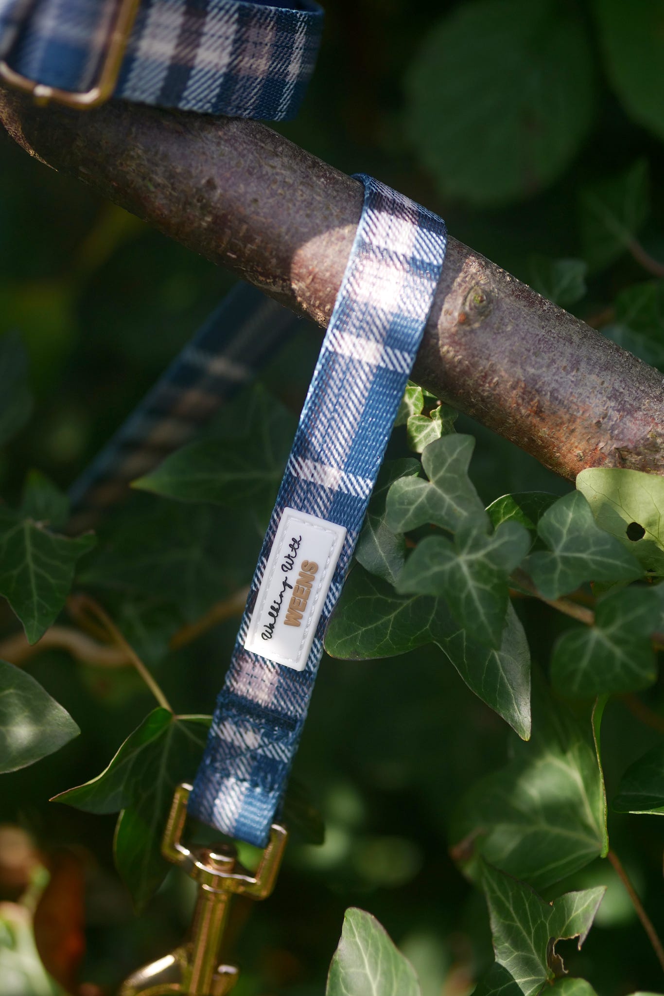 Frosted Flannel - 4ft Lead