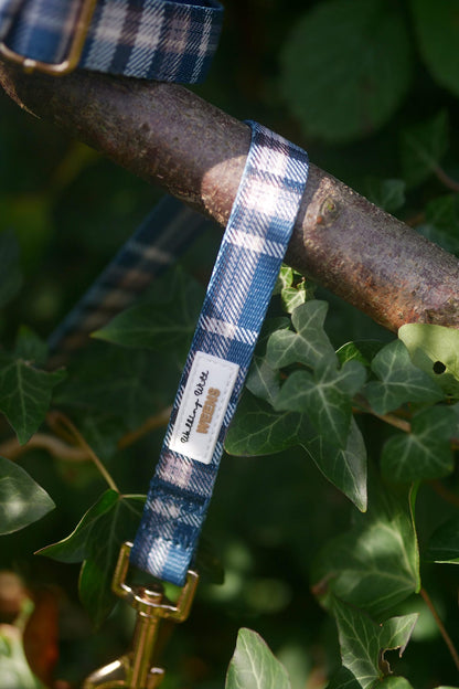 Frosted Flannel - 4ft Lead