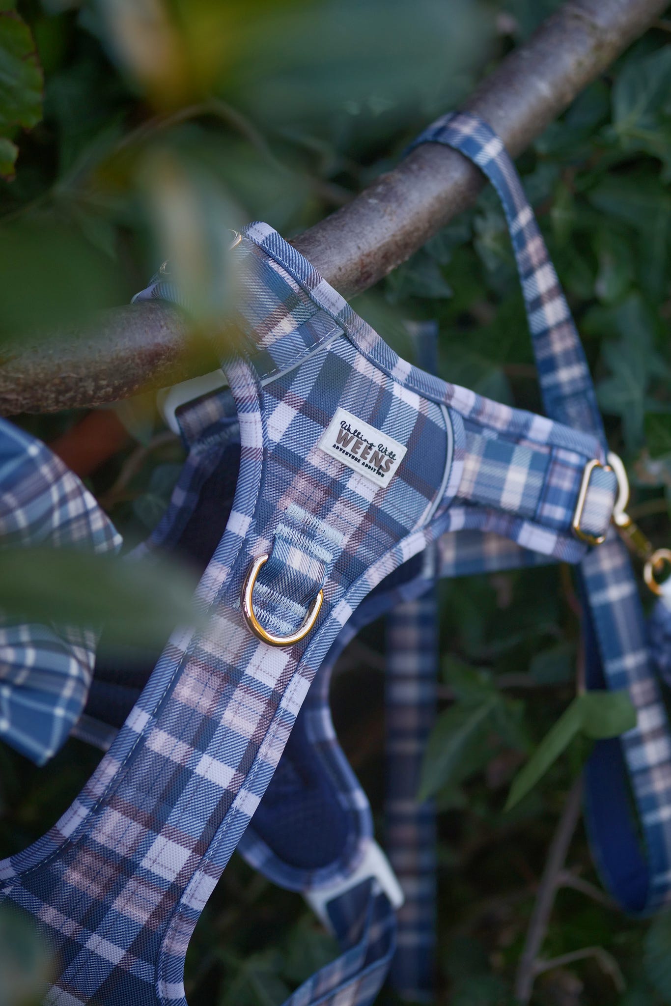 Frosted Flannel - Adventure Addition