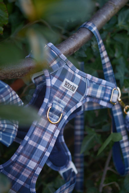 Frosted Flannel - Adventure Addition