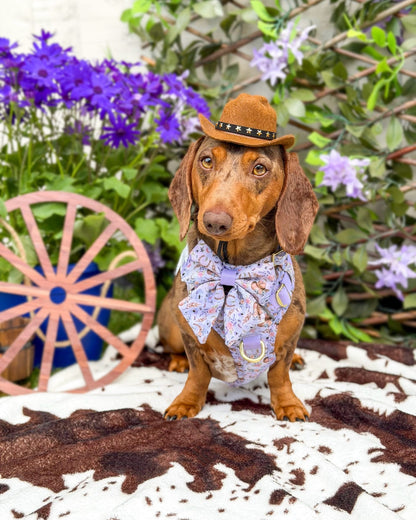 Western Wildflower - Sailor Bow