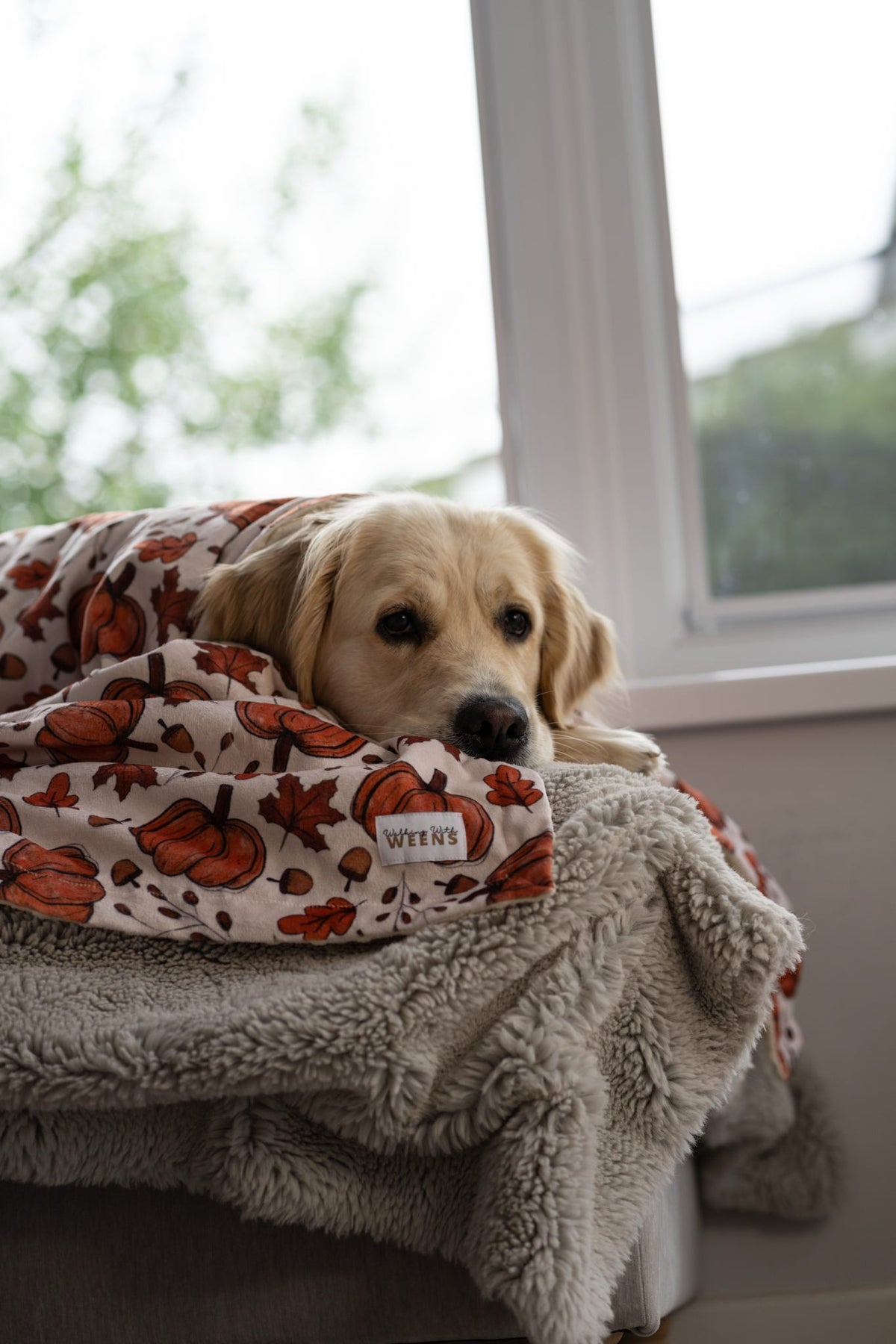 Autumn Nights - Snuggle Sized Blanket