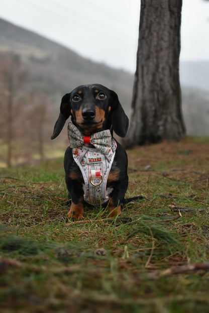 Berries and Bloom - Adventure Addition (See description)