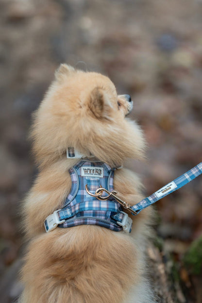 Frosted Flannel - Adventure Addition