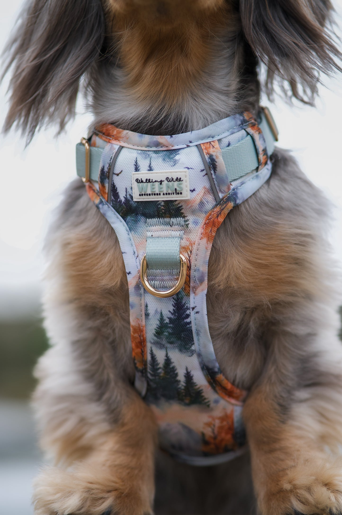 Pinewood Peaks - Adventure Addition