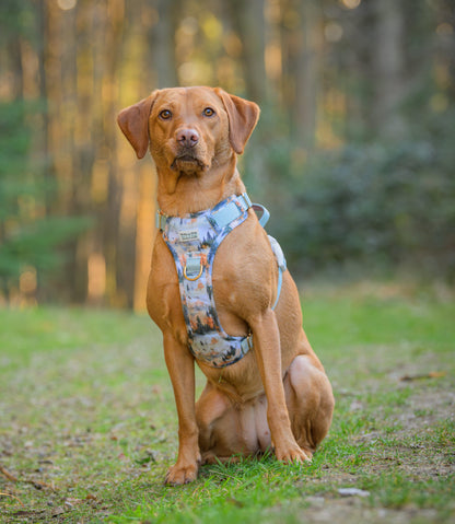 Pinewood Peaks - Adventure Addition