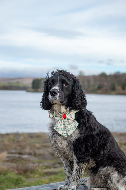 Berries and Bloom - Sailor Bow