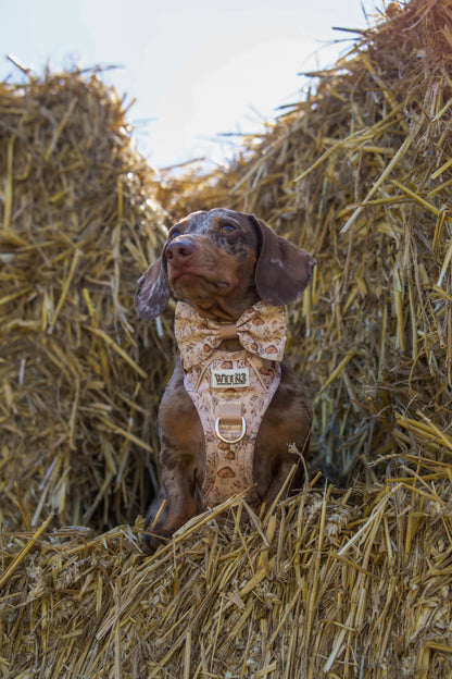 Sepia Shrooms - Bow Tie