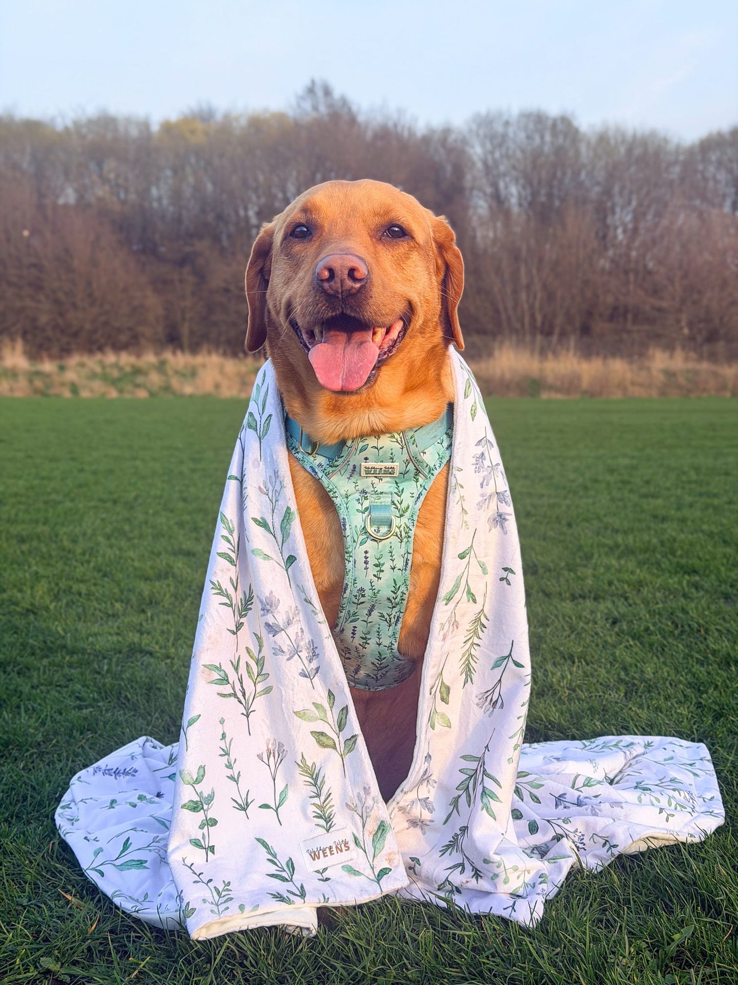 Sage Springs - Snuggle Sized Blanket