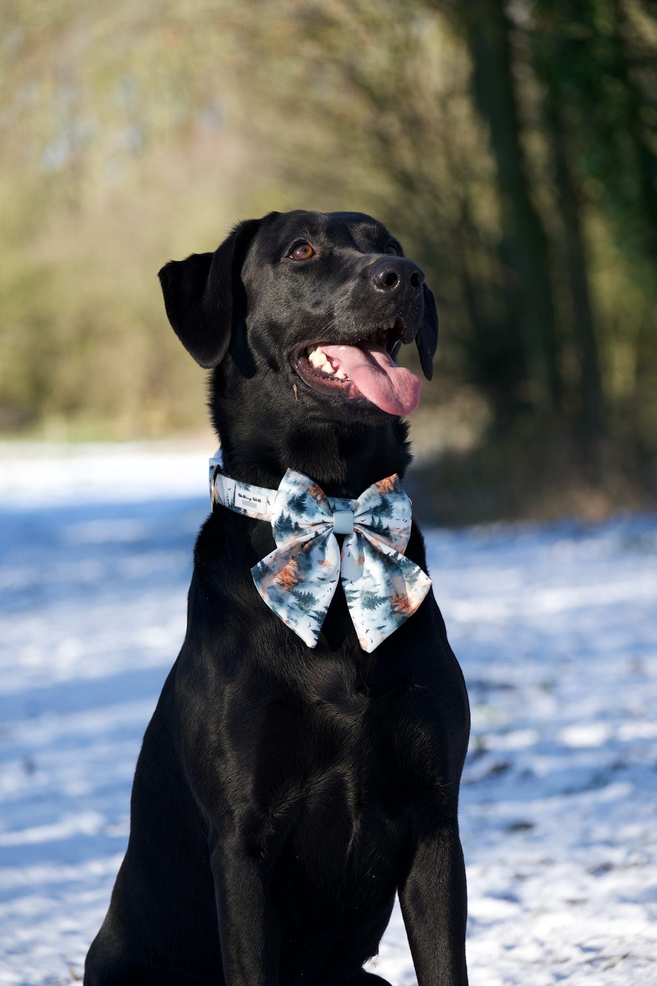 Pinewood Peaks - Sailor Bow