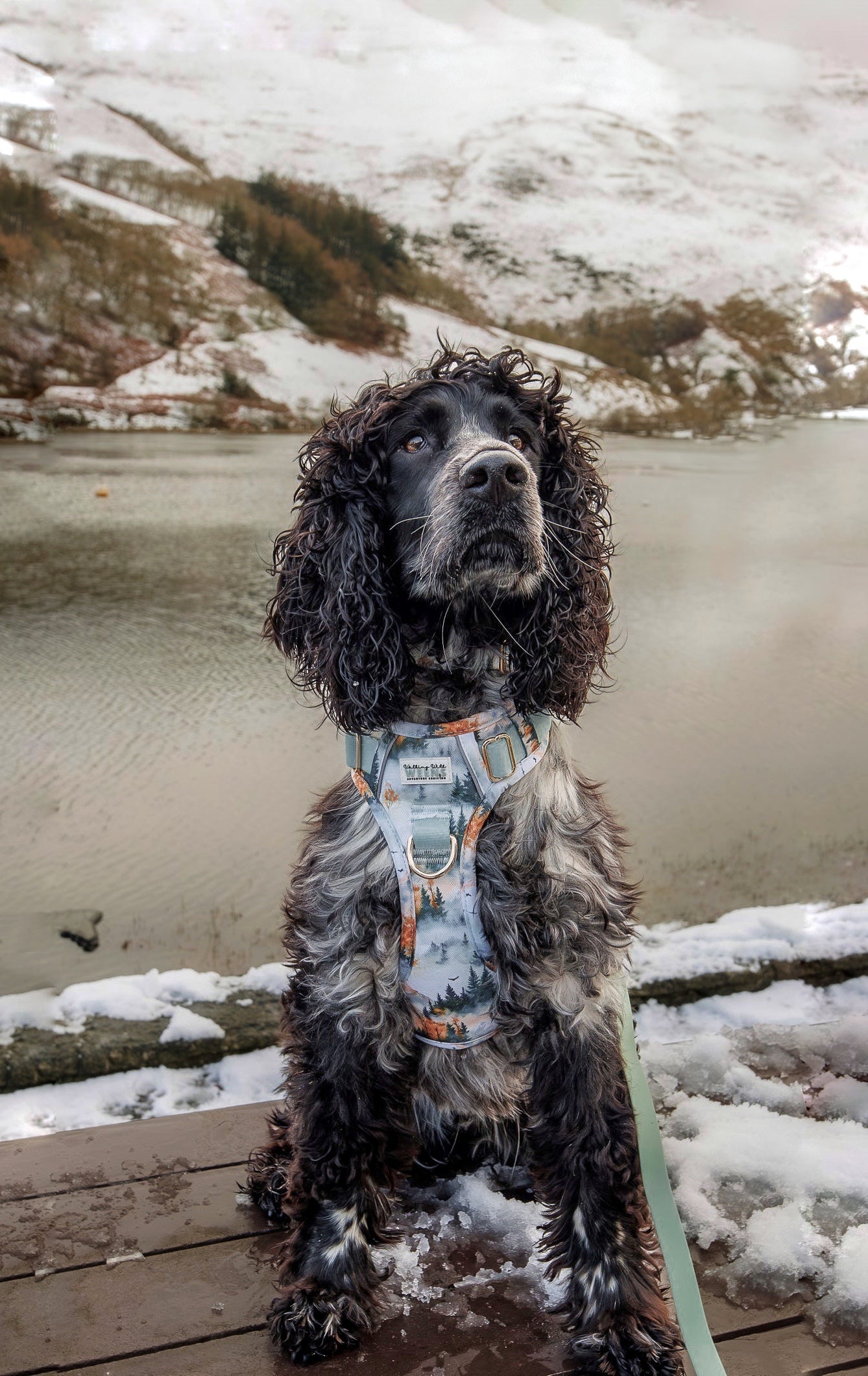 Pinewood Peaks - Adventure Addition