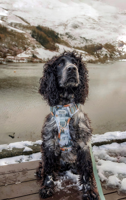 Pinewood Peaks - Adventure Addition