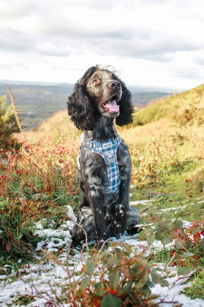 Frosted Flannel - Adventure Addition