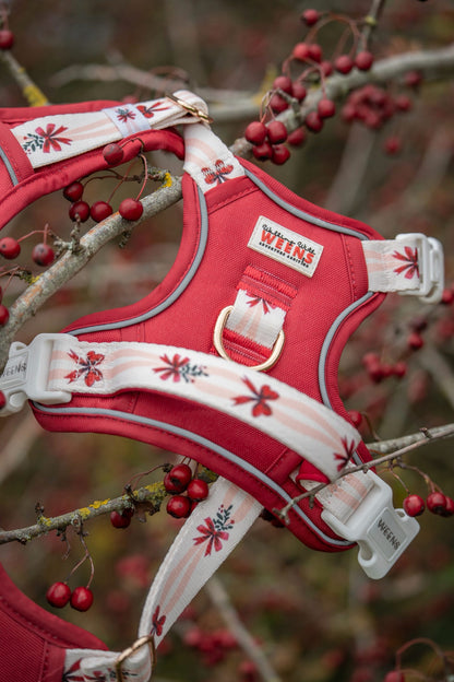 Classic Crimson - Adventure Addition